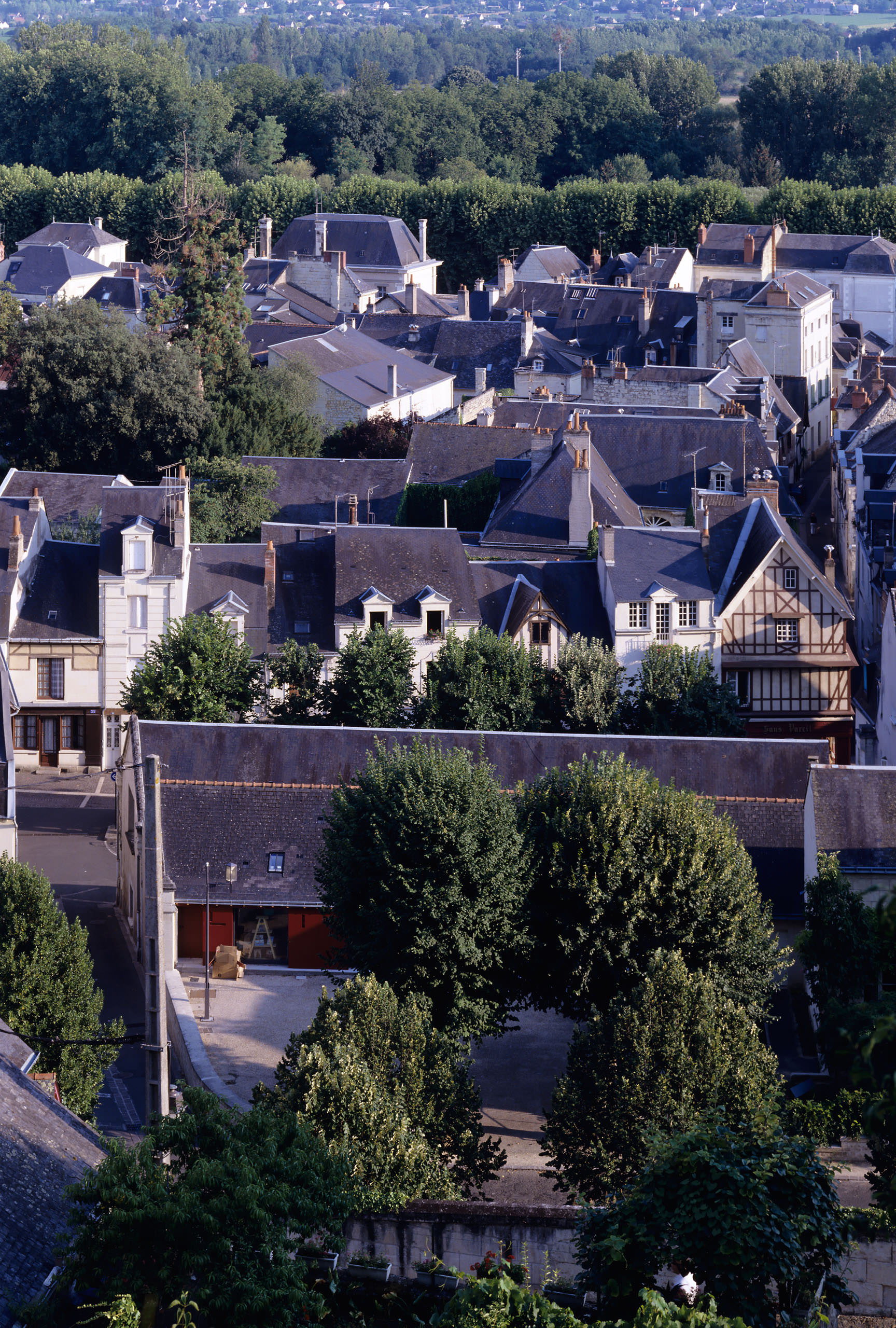 Librairie Les Compagnons du Reve, Chinon